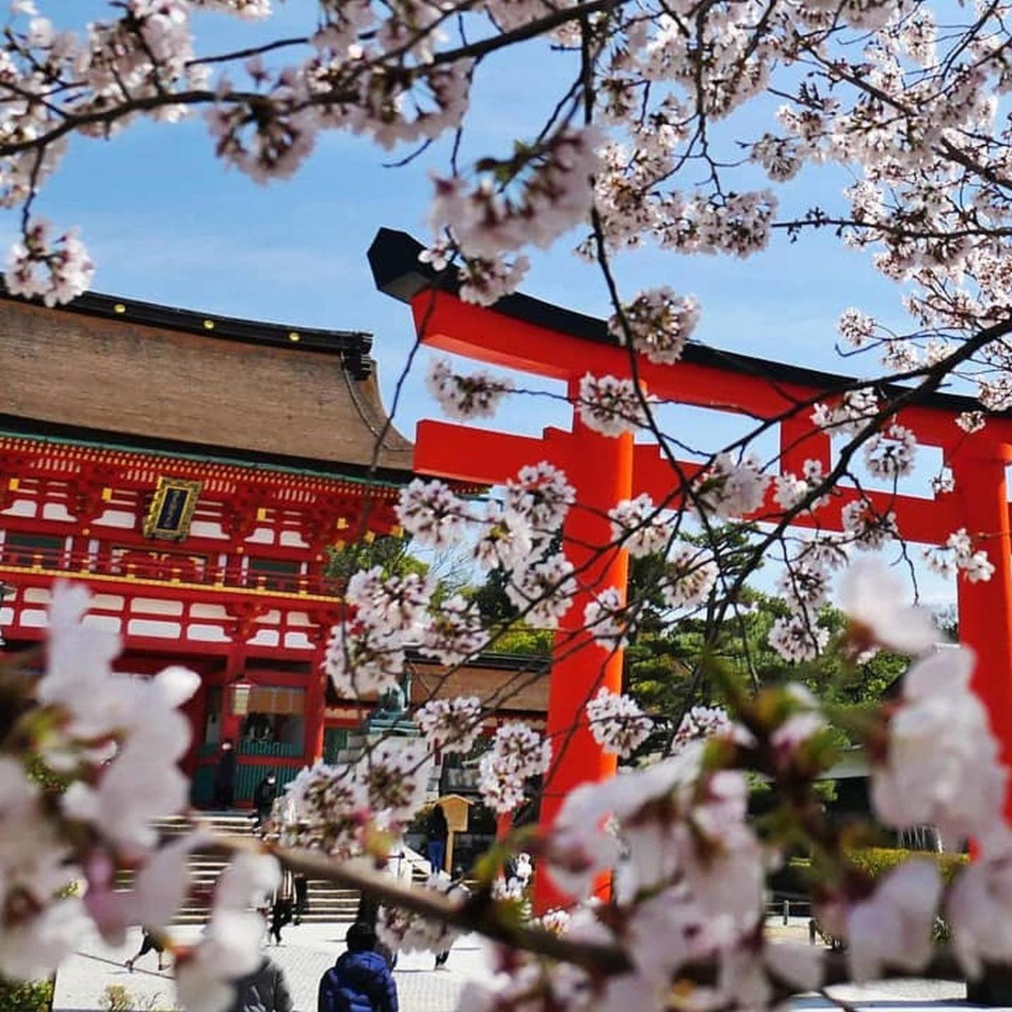 Kyoto Jujo 01 Lägenhet Exteriör bild